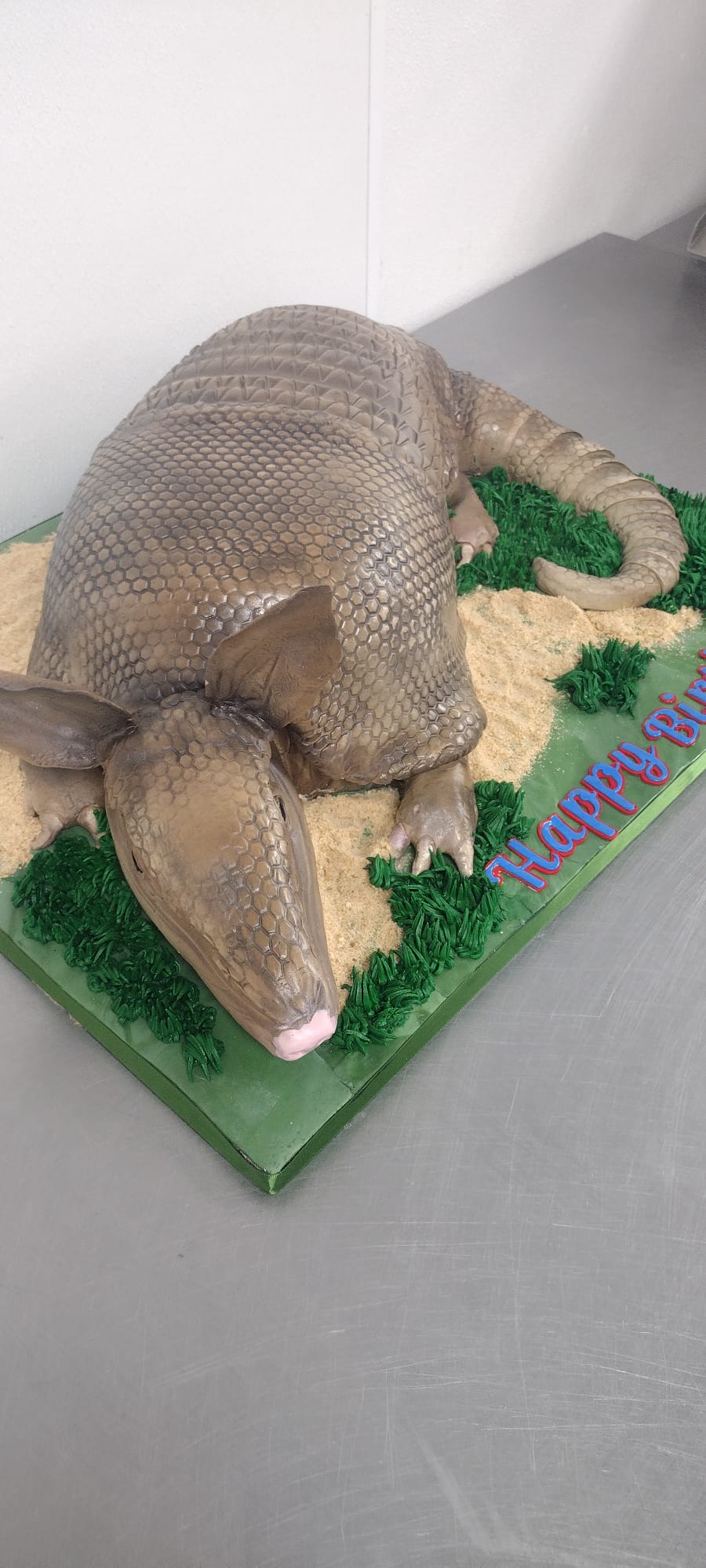 Grooms Cake. Armadillo